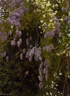 Wisteria in bloom. by Edward Okuń